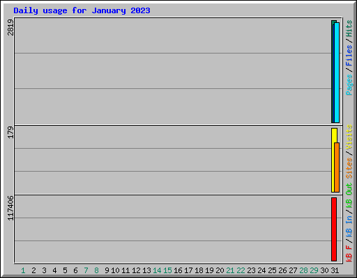 Daily usage for January 2023