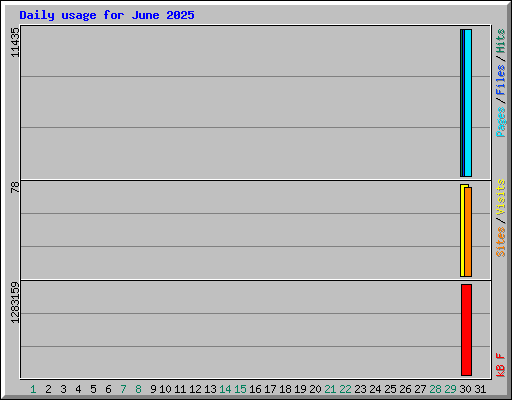 Daily usage for June 2025