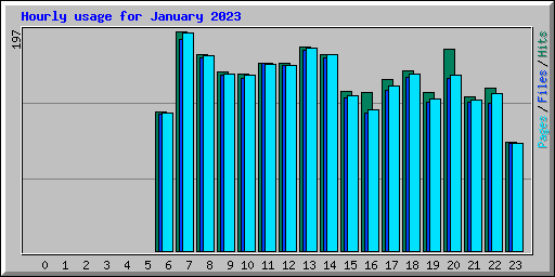 Hourly usage for January 2023