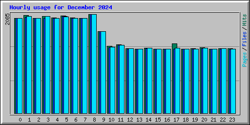 Hourly usage for December 2024
