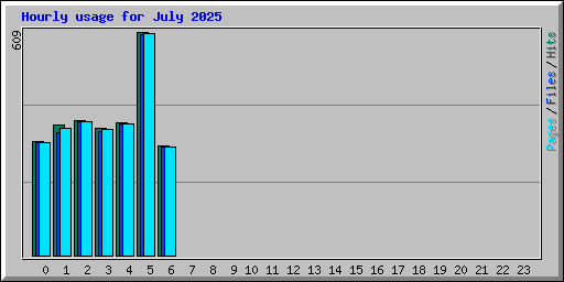 Hourly usage for July 2025