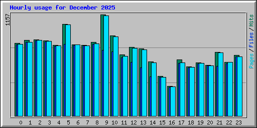 Hourly usage for December 2025