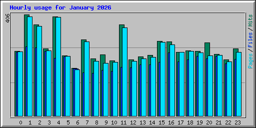 Hourly usage for January 2026